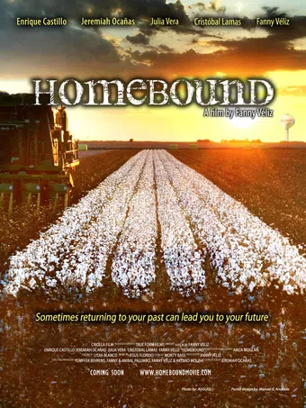 homebound 2013 poster