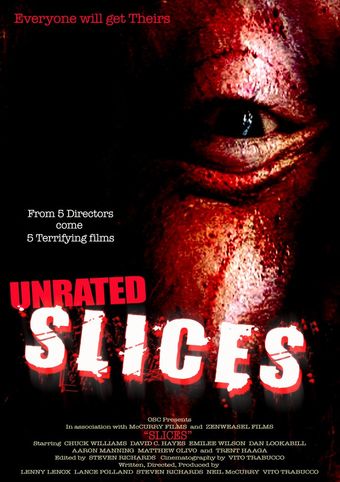 slices 2008 poster