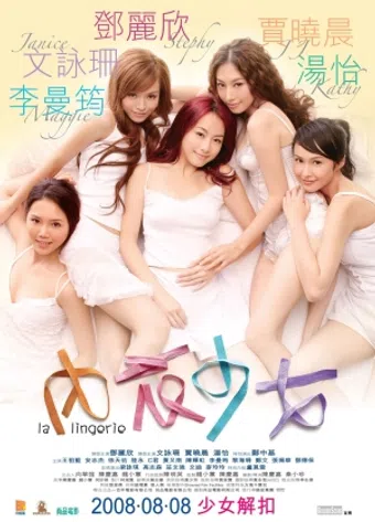 noi yee sil nui 2008 poster