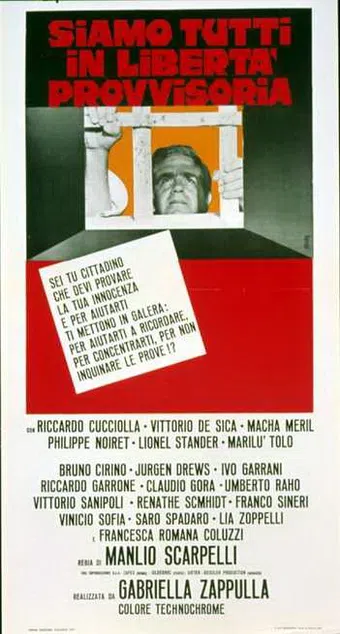 siamo tutti in libertà provvisoria 1971 poster