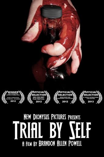 trial by self 2011 poster