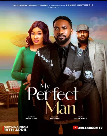 my perfect man 2025 poster