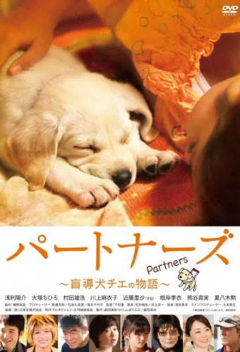 pâtonâzu 2010 poster