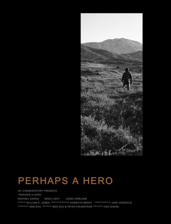 perhaps a hero 2017 poster