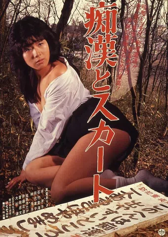 chikan to skirt 1984 poster