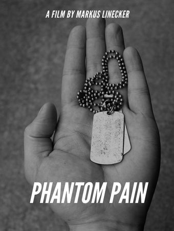 phantom pain poster