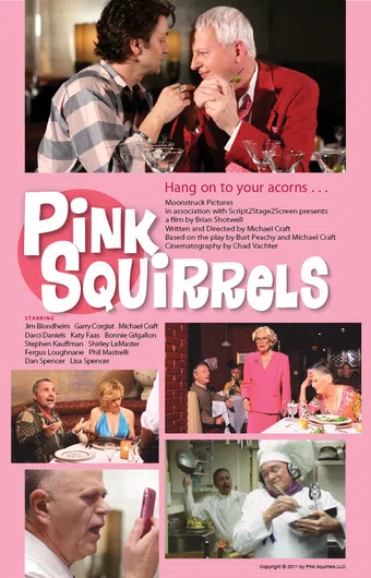 pink squirrels 2011 poster