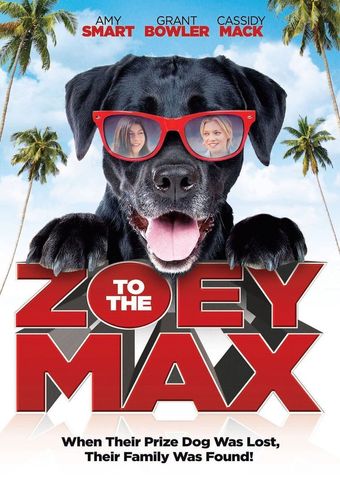 zoey to the max 2015 poster