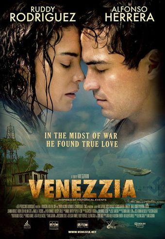 venezzia 2009 poster