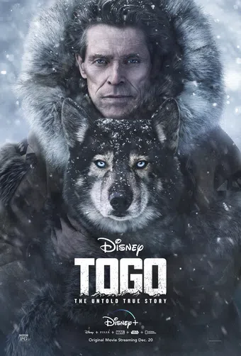 togo 2019 poster