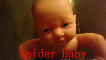 spider baby 2016 poster