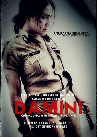 damini poster