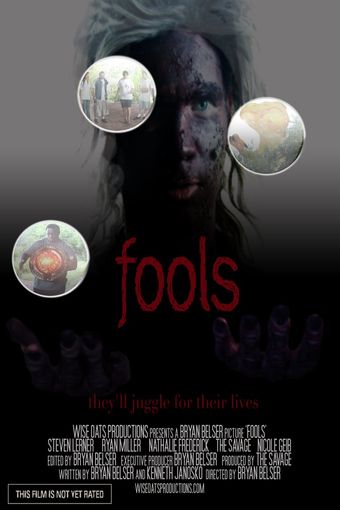 fools 2011 poster