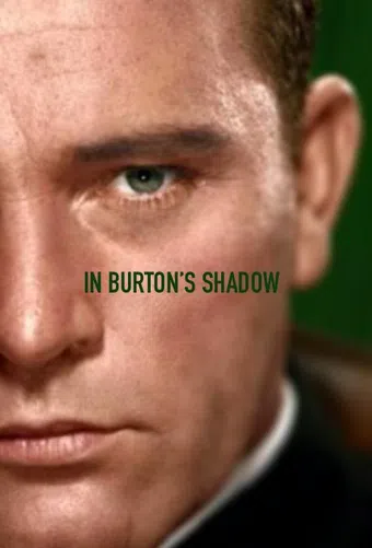 in burton's shadow poster