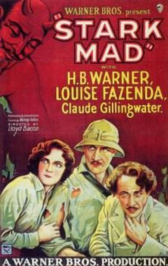 stark mad 1929 poster