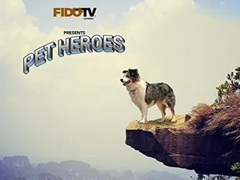 pet heroes 2010 poster