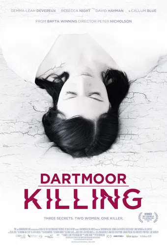 dartmoor killing 2015 poster