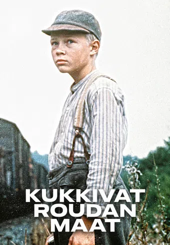 kukkivat roudan maat 1981 poster