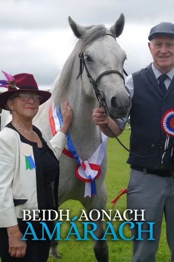 beidh aonach amarach 2019 poster