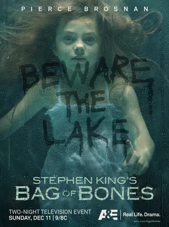 bag of bones 2011 poster