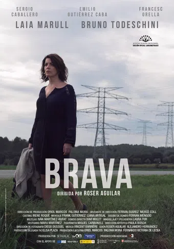 brava 2017 poster