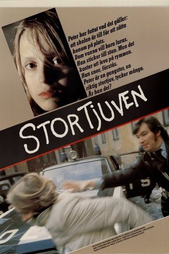 stortjuven 1979 poster