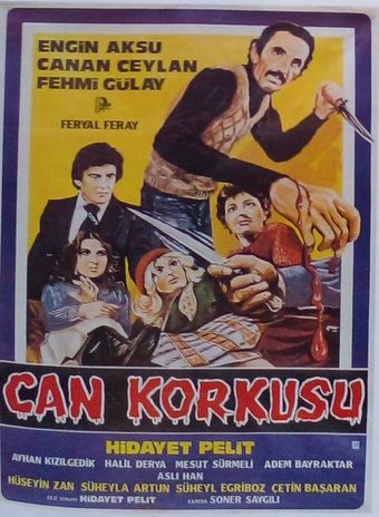 can korkusu 1980 poster