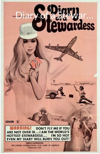 diary of a stewardess 1973 poster