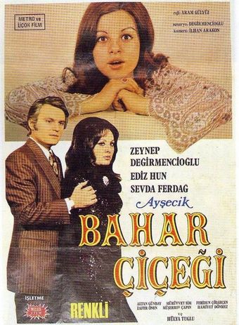 aysecik bahar çiçegi 1971 poster