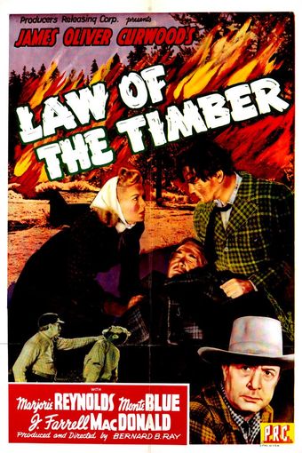 law of the timber 1941 poster