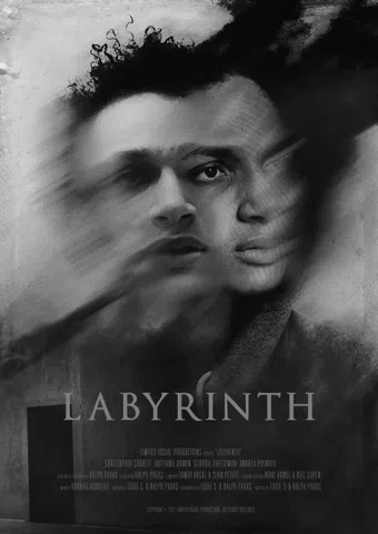 labyrinth 2021 poster