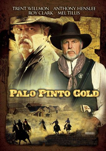 palo pinto gold 2009 poster