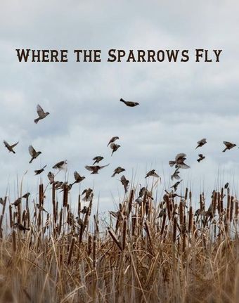 where the sparrows fly poster