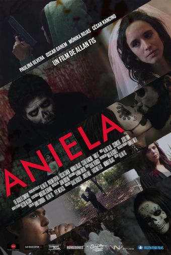 aniela 2020 poster