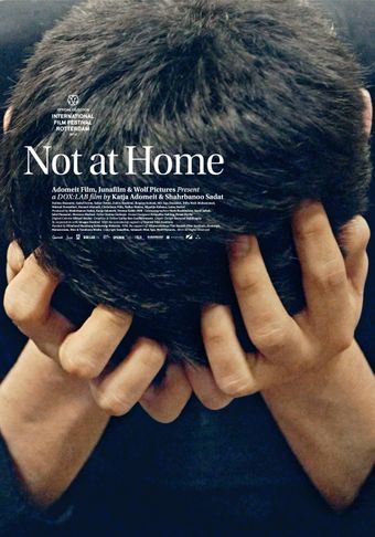 not at home 2013 poster