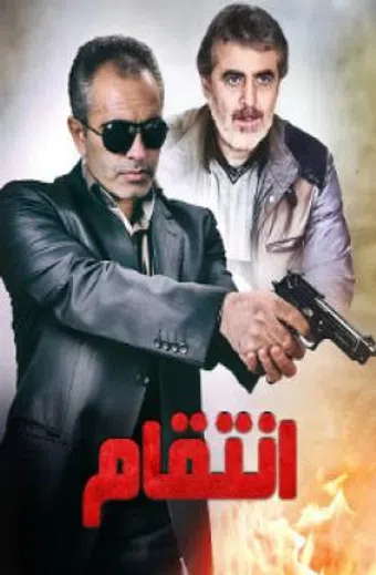 entegham 2011 poster
