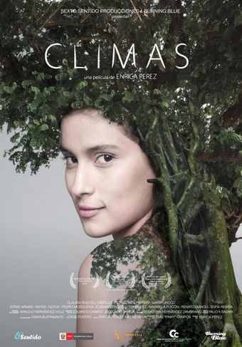 climas 2014 poster