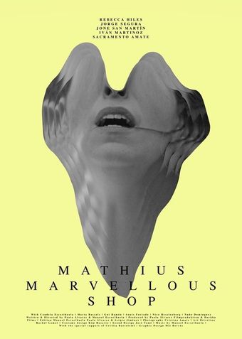 mathius marvellous shop 2019 poster