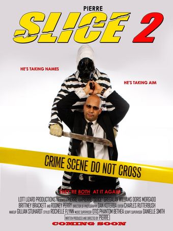 slice 2 2011 poster