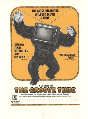 the groove tube 1974 poster