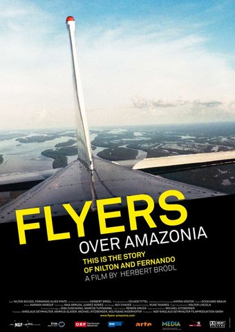 flieger über amazonien 2008 poster