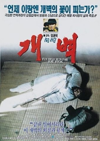 gaebyeok 1991 poster