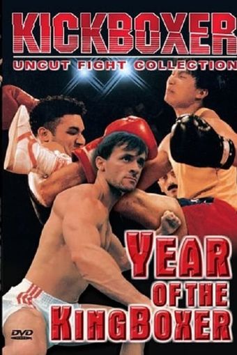 year of the kingboxer 1991 poster