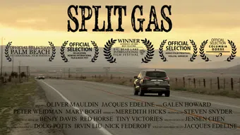 split gas 2014 poster