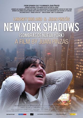 new york shadows 2013 poster