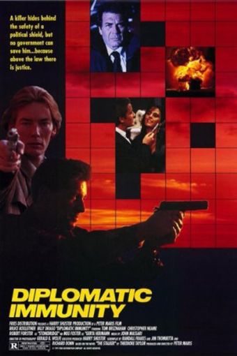 diplomatic immunity 1991 poster