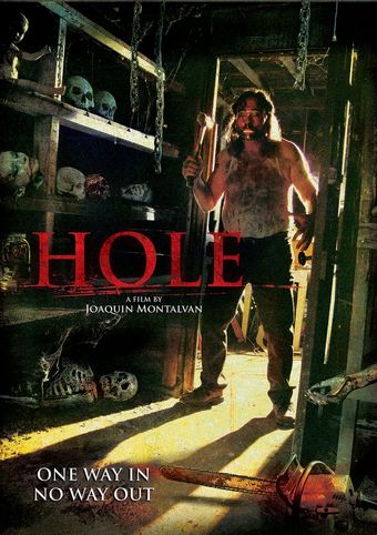 hole 2010 poster