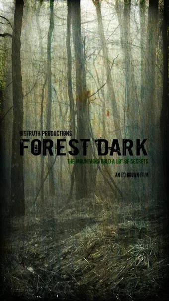 forest dark poster