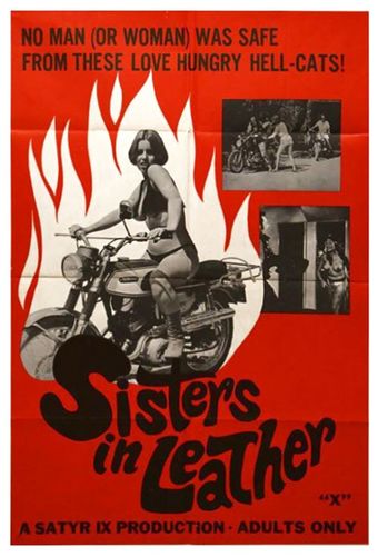 sisters in leather 1969 poster