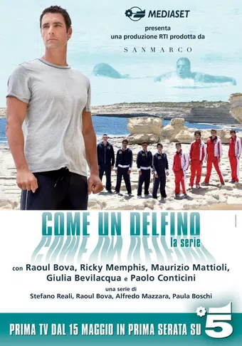 come un delfino - la serie 2013 poster